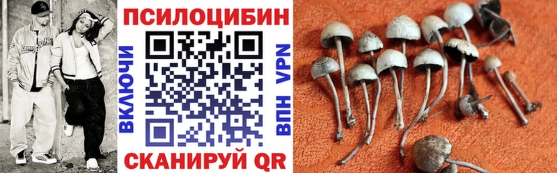 Галлюциногенные грибы Psilocybine cubensis  Купить  Славск 